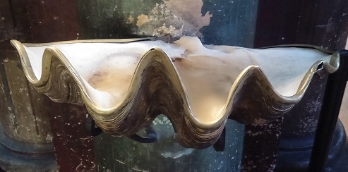 Clam shell holy water font in Saint Germain des Prés